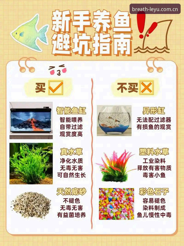 最新乐鱼客户端避坑指南：从EPY2呼吸感界面到赛事数据的正确打开方式