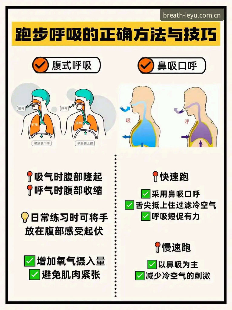 J1速度榜看球新姿势：乐鱼EPY2呼吸感界面使用教程
