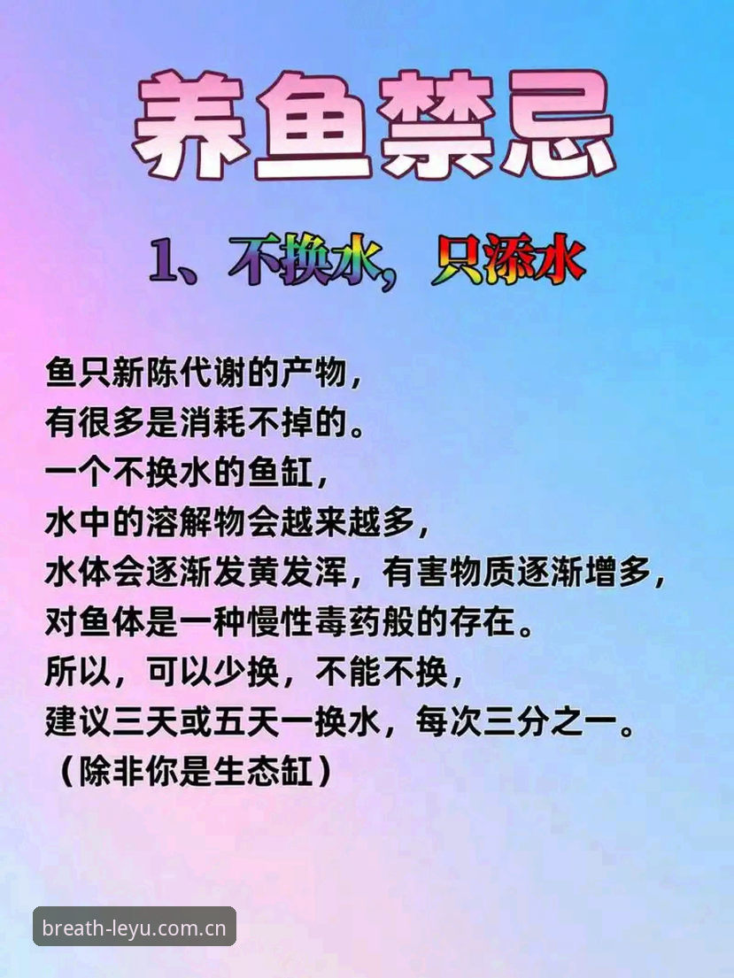 乐鱼客户端安全吗 乐鱼客户端安全吗?一份老用户的实操避坑教程