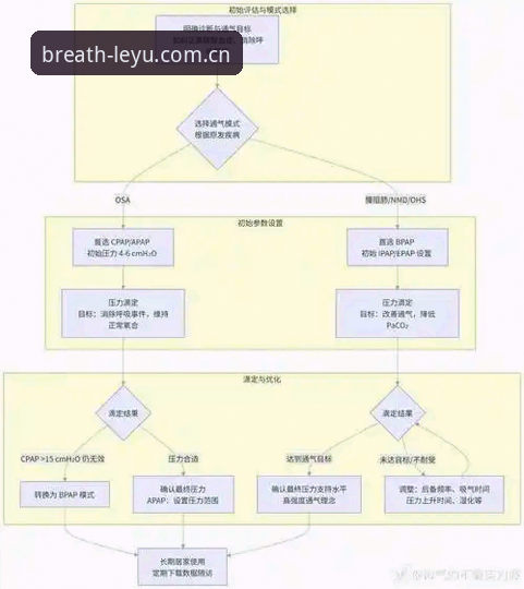 乐鱼版本更新对比教程：从Vital.Design到EPY2，呼吸感界面操作详解