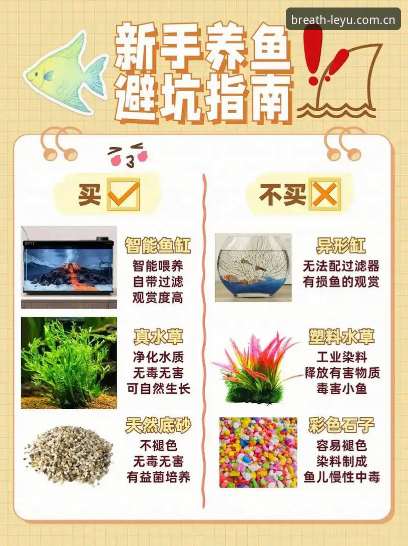 乐鱼客户端避坑指南：呼吸感界面背后的真实体验与操作误区